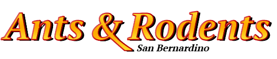 San Bernardino Ant Exterminator & Rodent Control Company Logo